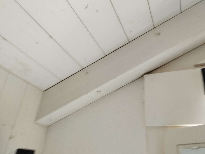 An einer Innenwand in Bretzwil finden sich vereinzelt Ameisen nahe der Holzdecke, was auf einen beginnenden Befall hindeutet und den Einsatz eines Kammerjaegers ratsam macht.