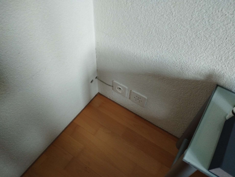 Am Bodenbereich einer Zimmerecke in Bubendorf weisen einzelne Ameisen auf einen moeglichen Befall hin, der den Einsatz eines Kammerjaegers erforderlich machen koennte.