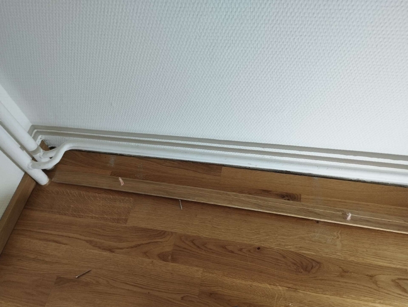 Entlang der Sockelleiste in Buus deuten verstreute Spuren auf einen Ameisenbefall hin, wodurch der Einsatz eines Kammerjaegers sinnvoll wird.