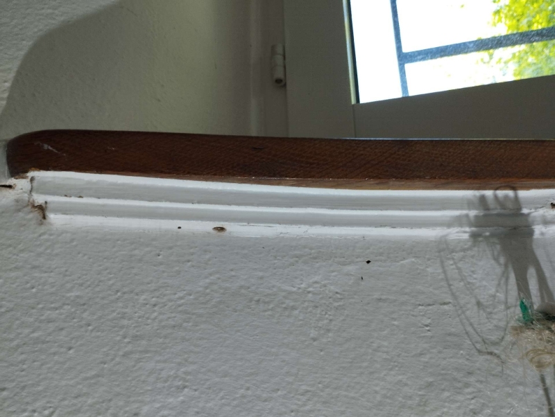 Auf der Fensterbank in Dittingen deuten die kleinen dunklen Spuren auf aktive Ameisen hin, wodurch ein Kammerjaeger im Ort hilfreich sein kann.