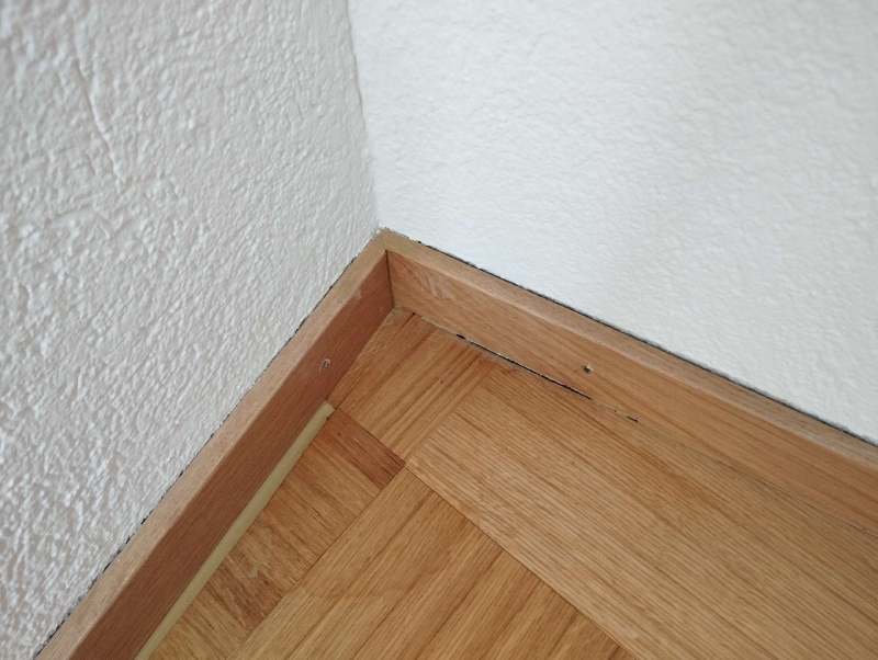 In einer Zimmerecke in Dittingen weisen die feinen Spuren entlang der Sockelleiste auf wandernde Ameisen hin, was den Einsatz eines Kammerjaegers im Ort sinnvoll macht.