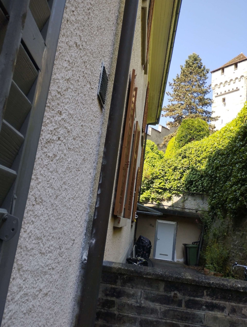 Entlang der Hausfassade in Duggingen ziehen Ameisen eine deutliche Spur, was auf einen Befall hindeutet und den Einsatz eines Kammerjaeger erforderlich machen kann.