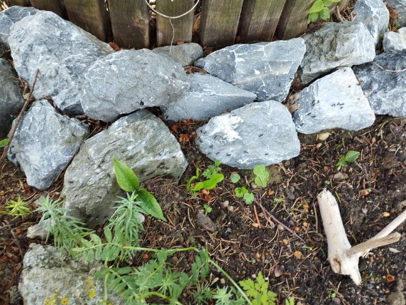Zwischen den gelagerten Boxen im Dachboden von Ettingen steht eine Koederstation, was auf Maeusebefall hindeutet und den Einsatz eines Kammerjaegers notwendig machen kann.
