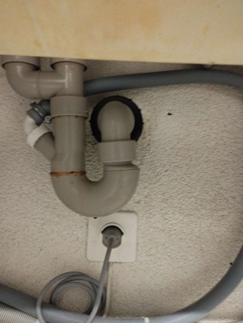 Unter einem Waschbecken in Fuellinsdorf bewegen sich Ameisen entlang der Leitungen, was auf einen moeglichen Einsatz des Kammerjaeger hinweist.