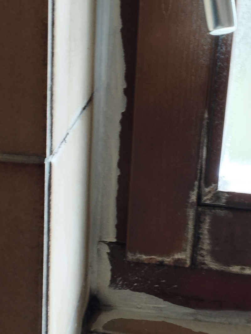 An einer Fensterfuge in Fuellinsdorf bewegen sich Ameisen in einer schmalen Spalte, was auf einen moeglichen Einsatz des Kammerjaeger hinweist.