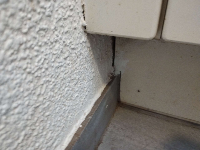Entlang einer Wandfuge in Gelterkinden weist eine schmale Spalte auf einen moeglichen Zugang fuer Ameisen hin, was den Einsatz eines Kammerjaegers notwendig macht.