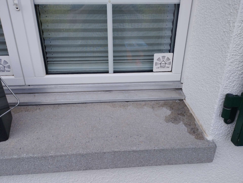 Auf der Fensterbank in Giebenach breiten sich Ameisen entlang der Wand aus, was einen schnellen Einsatz des Kammerjaegers erforderlich macht.