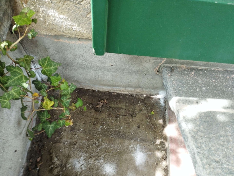 Neben der Haustreppe in Giebenach ziehen Ameisen aus einer kleinen Oeffnung im Mauerwerk hervor, was den Einsatz eines Kammerjaegers notwendig macht.