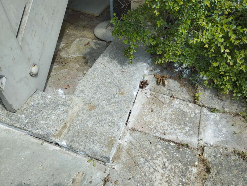 In Haefelfingen lassen verstreute Spuren im Pflaster auf eine aktive Ameisenstrasse schliessen, was den Einsatz eines Kammerjaeger notwendig machen koennte.