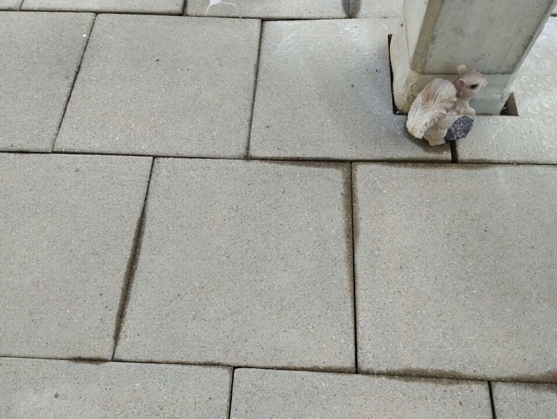Zwischen den Platten am Pfeiler in Hemmiken verlaufen feine Ameisenspuren, was den Einsatz eines Kammerjaegers in Hemmiken notwendig macht.