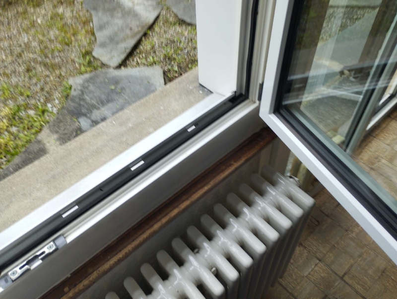 Am geoeffneten Fensterrahmen in Hoelstein sind vereinzelte Ameisen zu erkennen, wodurch ein Einsatz des Kammerjaeger in Betracht gezogen werden kann.