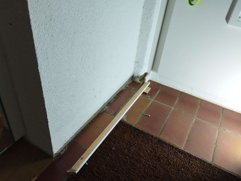 Neben der Haustuer in Itingen deutet die freigelegte Leiste mit sichtbaren Spuren auf eine Ameisenstrasse hin, die den Einsatz eines Kammerjaegers erfordert.