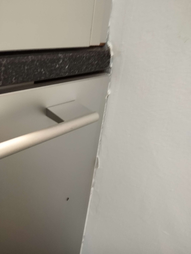 An einer Kante zwischen Kuechenschrank und Wand in Kilchberg krabbelt eine einzelne Ameise, was auf einen Befall hindeuten kann und den Einsatz eines Kammerjaeger erforderlich macht.