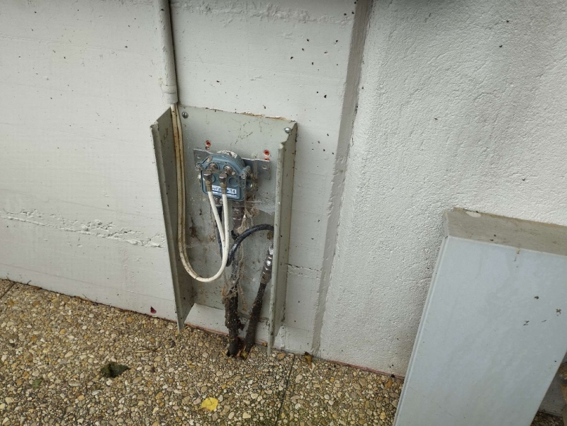 An einer Aussenwand in Langenbruck krabbeln zahlreiche Ameisen um eine offene Anschlussstelle, was den Einsatz eines Kammerjaegers erforderlich macht.