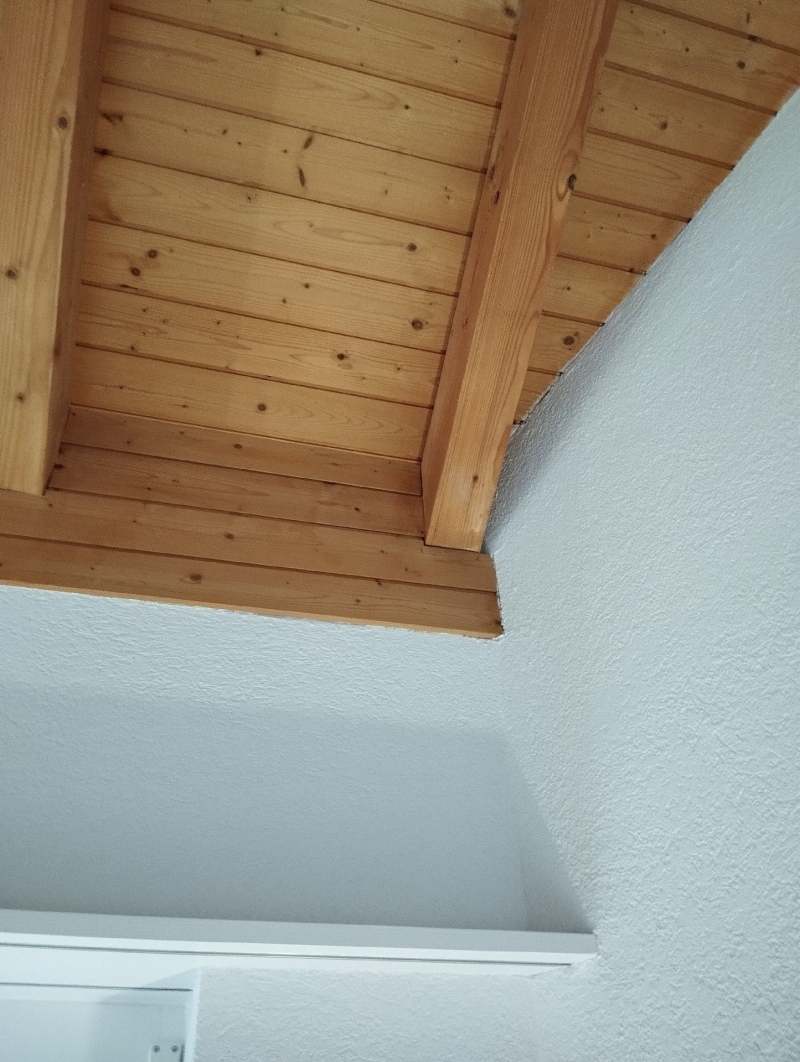 In Laeufelfingen laesst die Ansammlung kleiner dunkler Spuren an der hölzernen Dachkante auf Ameisenaktivitaet schliessen, weshalb ein Kammerjaeger erforderlich sein kann.