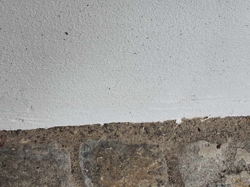 In Laeufelfingen zeigt der Bereich zwischen Putzwand und Steinboden mehrere kleine dunkle Punkte, die auf Ameisenaktivitaet hinweisen und einen Kammerjaeger noetig machen.