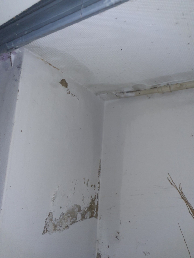 An einer beschaedigten Wandkante in Lausen weist die Ansammlung kleiner Spuren auf moegliche Ameisenaktivitaet hin, die den Einsatz eines Kammerjaegers nahelegt.