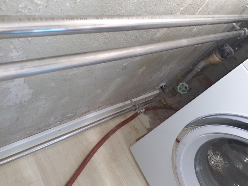 Entlang der Wand hinter der Waschmaschine in Liesberg deuten kleine Spuren auf eine moegliche Ameisenaktivitaet hin, bei der ein Kammerjaeger hilfreich sein kann.