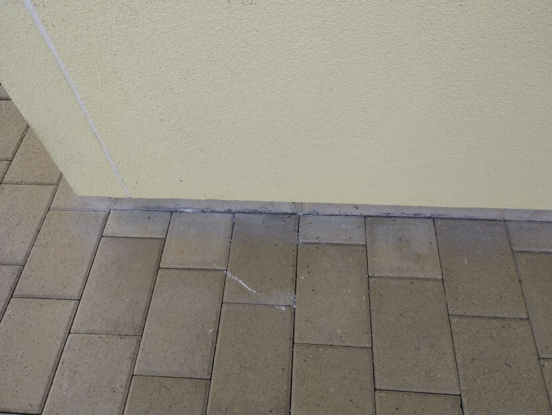 Entlang der Hauswand in Liestal verlaeuft eine feine Ameisenspur zwischen den Pflastersteinen, was den Einsatz eines Kammerjaeger erforderlich machen kann.