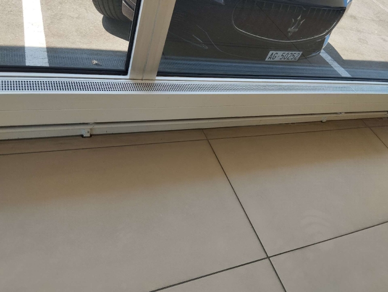 Nahe einer grossen Glasfront in Lupsingen krabbeln Ameisen entlang der Bodenfuge, was den Einsatz eines Kammerjaegers notwendig macht.