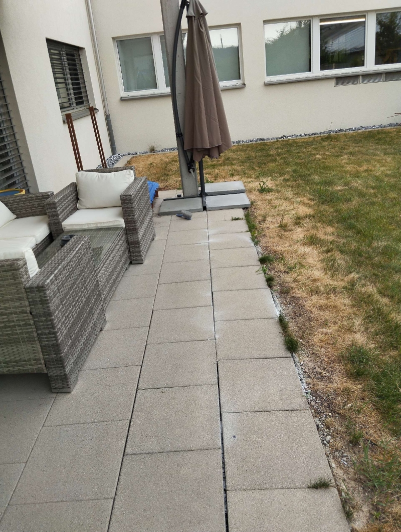 Entlang der Terrassenfugen in Muttenz weist eine sichtbare Ameisenstrasse auf starken Befall hin, der den Einsatz eines Kammerjaeger erforderlich macht.