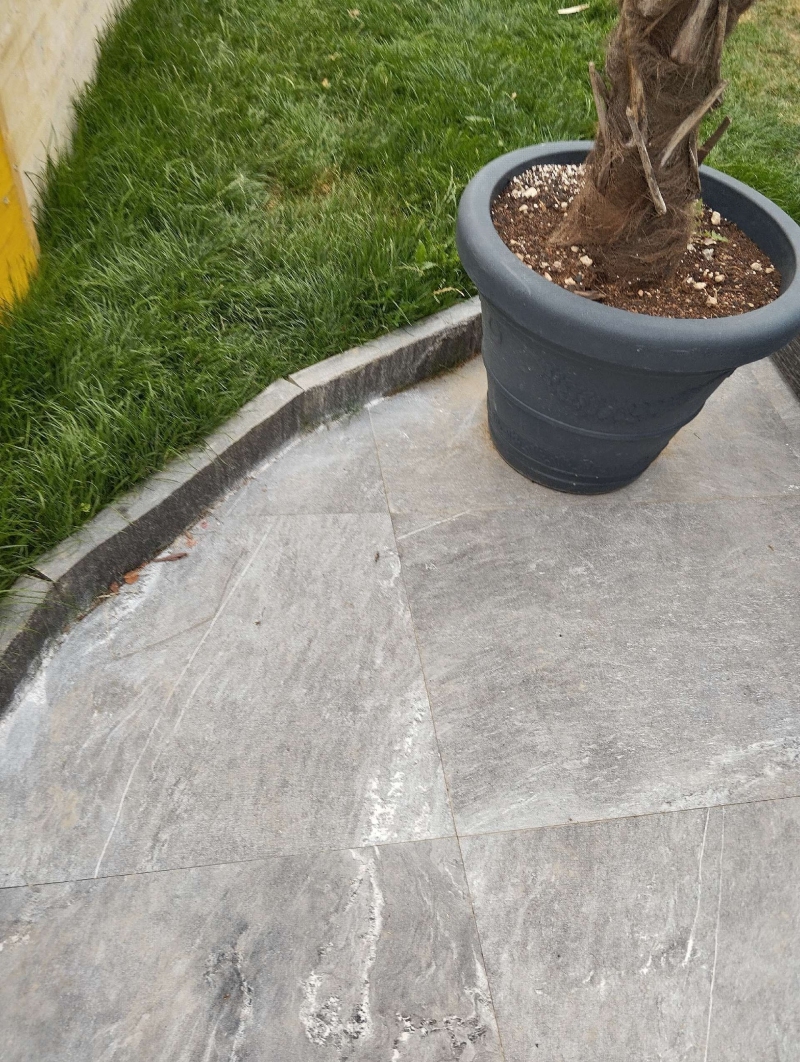 Auf der Steinplatte neben dem Pflanzgefaess in Nenzlingen lassen feine Spuren auf eine Ameisenaktivitaet schliessen, bei der ein Kammerjaeger hilfreich sein kann.