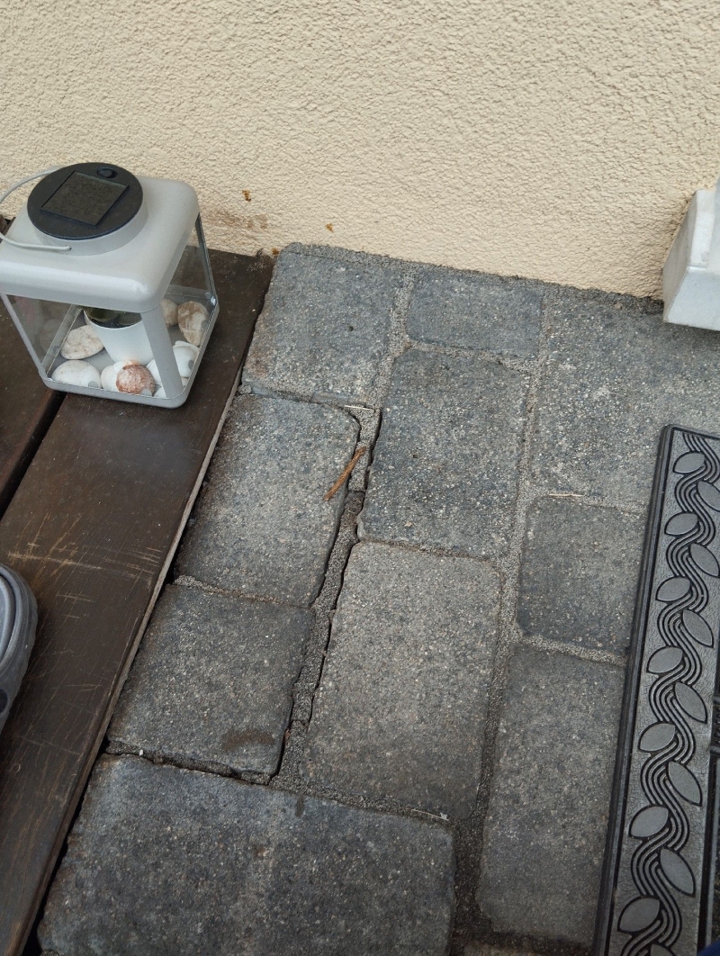 Auf den Steinplatten vor dem Eingang in Niederdorf ziehen Ameisen entlang einer Fuge, was gegebenenfalls den Einsatz eines Kammerjaegers erforderlich macht.