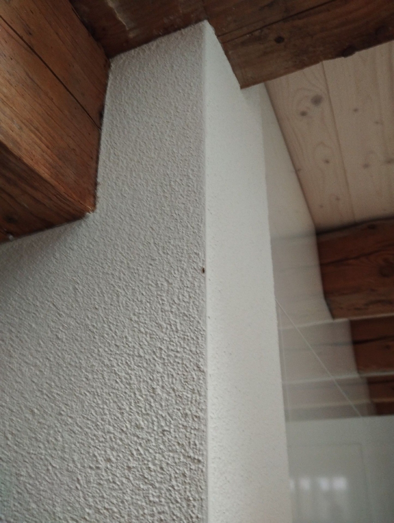 An einer Wandkante in Nusshof bewegen sich einzelne Ameisen, deren Auftreten den Einsatz eines Kammerjaegers nahelegt.