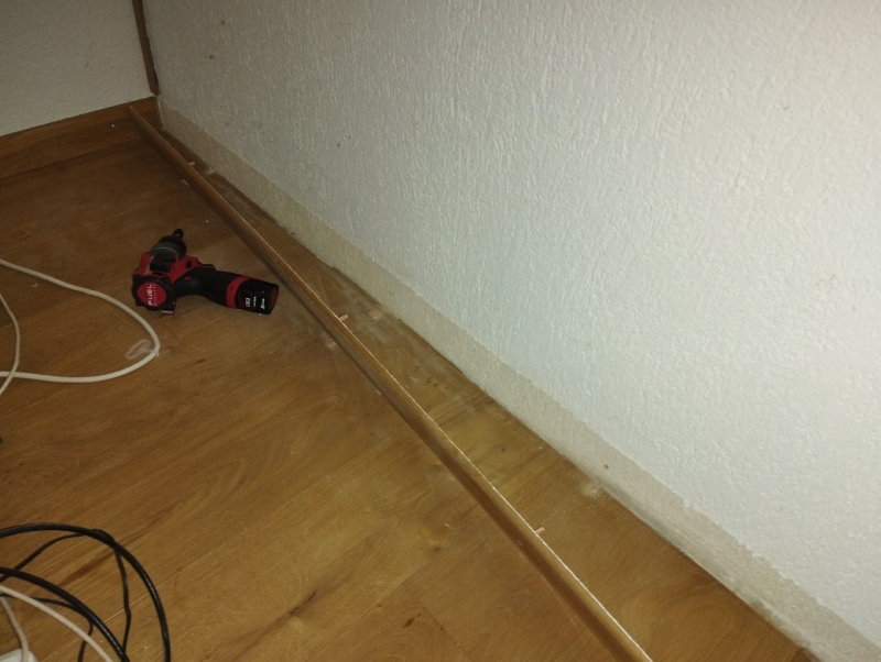 Entlang der Bodenleiste in Oberdorf deuten kleine dunkle Punkte auf moegliche Ameisen hin, wodurch der Einsatz eines Kammerjaegers zur gezielten Beseitigung sinnvoll erscheint.