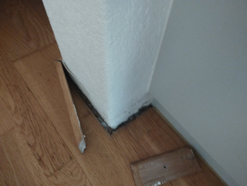 An einer geoeffneten Fussleistenstelle in Oltingen weist eine sichtbare Ameisenstrasse auf einen moeglichen Einsatz fuer einen Kammerjaeger hin.