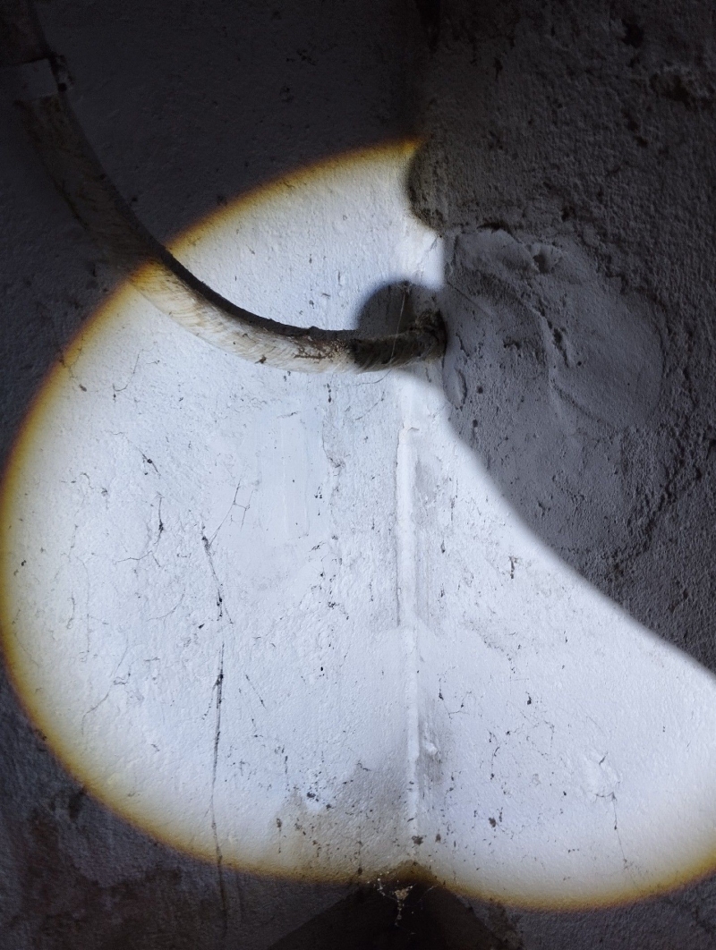Im Kellerbereich von Oltingen fallen an einer beleuchteten Wand feine Spuren auf, die auf Ameisenaktivitaet hinweisen und einen Kammerjaeger erforderlich machen koennten.