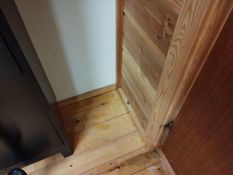 In Pfeffingen weist die kleine Ameisenreihe in der hölzernen Zimmerecke auf einen Befall hin, der den Einsatz eines Kammerjaegers notwendig macht.