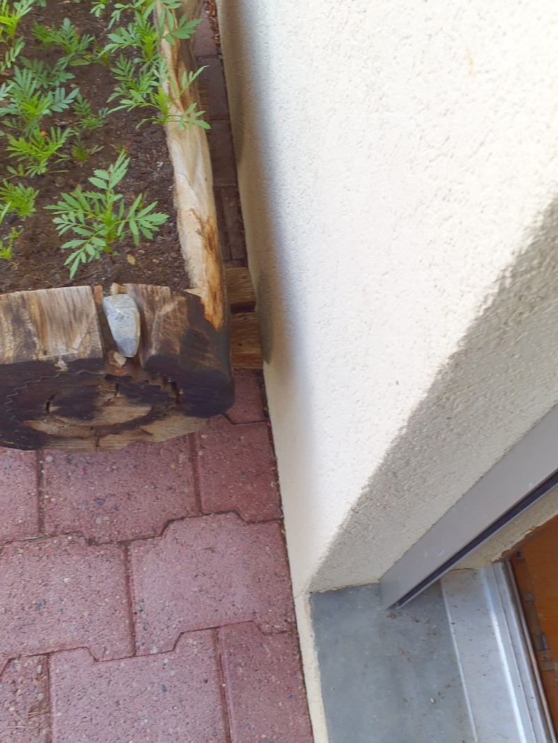 Neben einem Holzkasten in Ramlinsburg deuten Spuren im schmalen Spalt zur Fassade auf Ameisen hin, was den Einsatz eines Kammerjaeger im ORT notwendig machen kann.