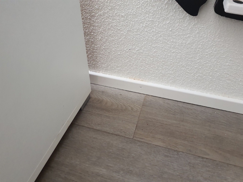 In Tecknau wurden Ameisen entlang des Fußbodens und der Wand entdeckt. Eine rasche Bekämpfung ist notwendig, um eine weitere Ausbreitung der Schädlinge zu verhindern.