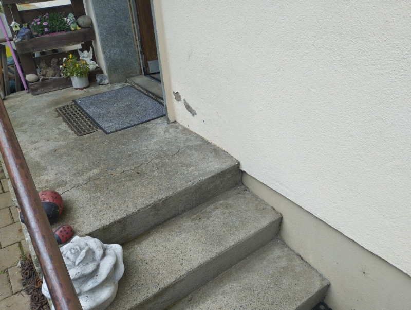 In Tenniken sind Ameisen in der Nähe der Haustreppe sichtbar. Kammerjäger könnten hier zur Bekämpfung und Entfernung dieser Schädlinge erforderlich sein.