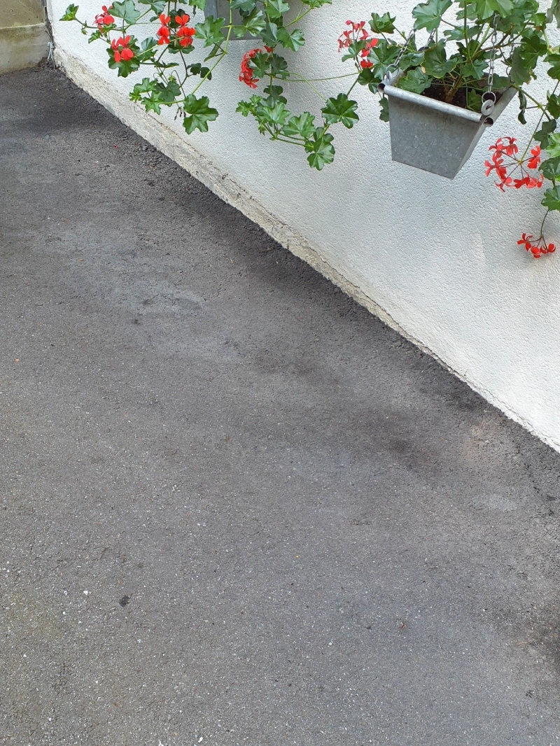 In Thürnen wurden Ameisen an einer Hauswand entdeckt. Es empfiehlt sich, einen Kammerjäger zu kontaktieren, um eine schnelle und nachhaltige Bekämpfung zu gewährleisten.