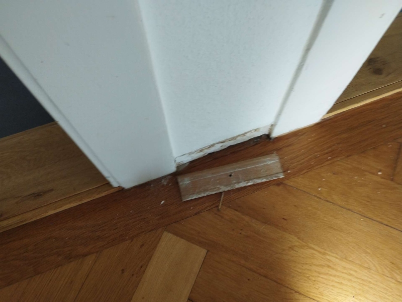 In Titterten wurde ein Ameisenbefall an der Türrahmenkante festgestellt, was auf eine mögliche Eindringung hindeutet und eine professionelle Behandlung erfordert.