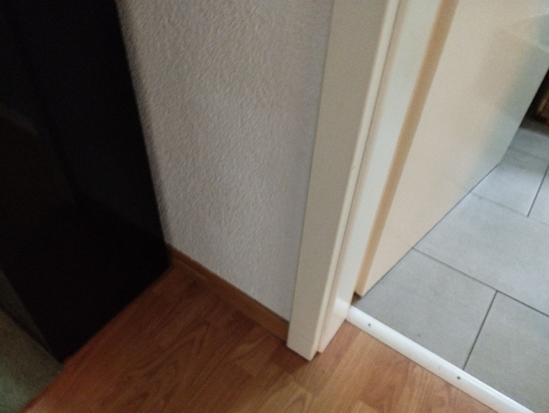Ameisen sind in Wenslingen entlang des Türrahmens sichtbar. Ein Kammerjäger sollte zur Bekämpfung kontaktiert werden, um das Problem nachhaltig zu lösen.