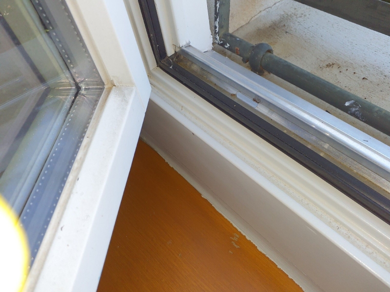 Ort: Zwingen. An einem Fensterrahmen sind Spuren von Ameisen sichtbar. Ein Kammerjäger könnte helfen, das Problem durch eine gezielte Bekämpfung zu lösen.