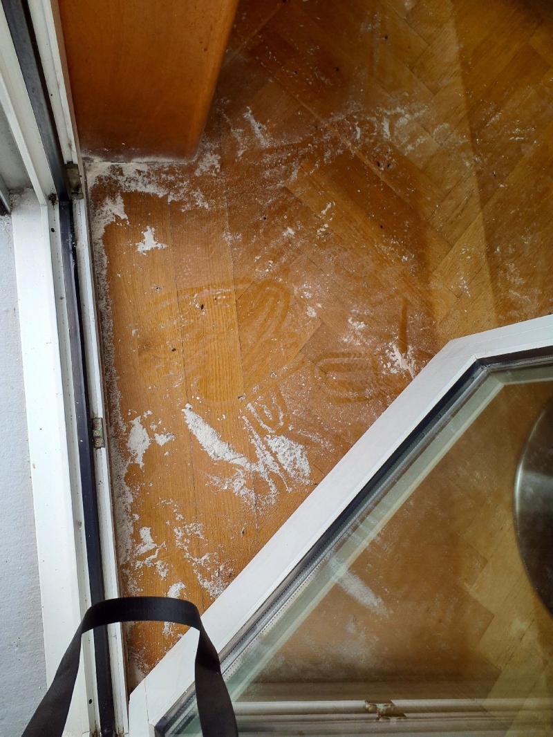 Ort: Zwingen. Ameisen haben den Bereich um ein Fenster entlang der Wand befallen. Ein Kammerjäger könnte helfen, das Problem effizient zu bekämpfen.